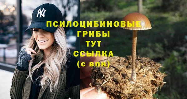 прущие грибы Алексеевка